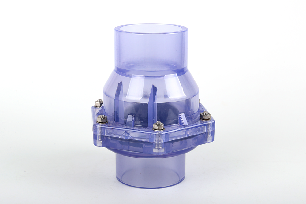 屯溪透明翻板式止回阀